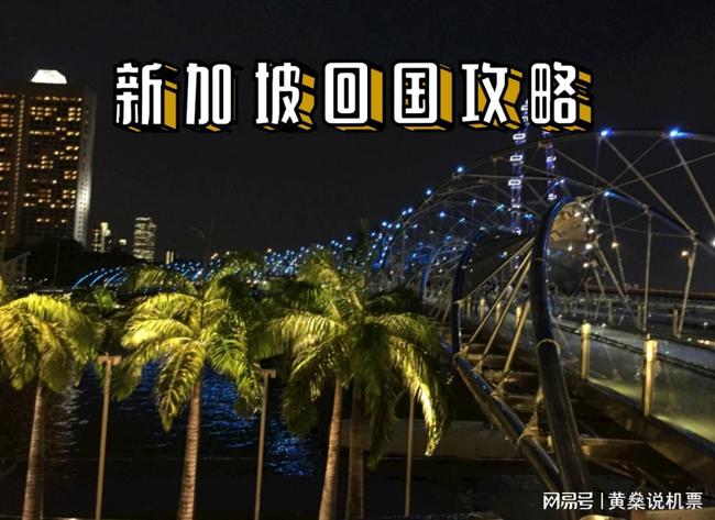 新加坡回国最新动态，巷弄深处的独特风味与最新消息揭秘