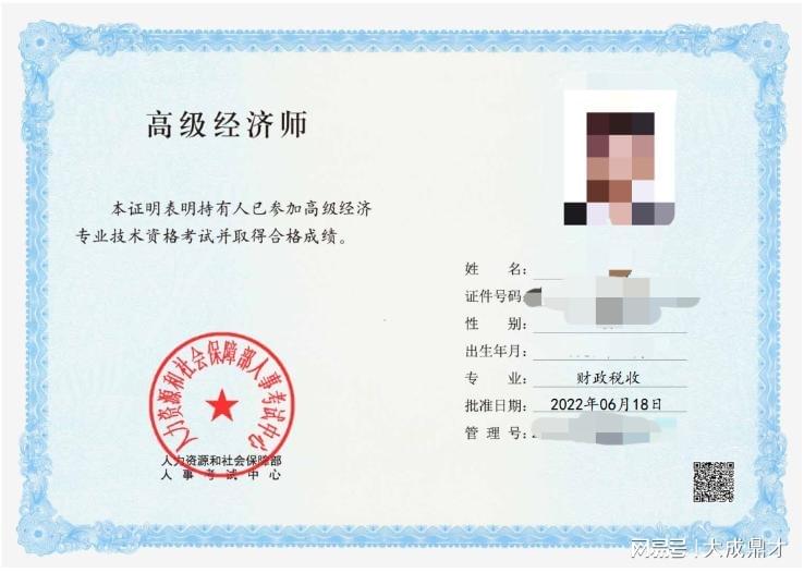 高级经济师的新日常，温情与智慧共融的最新动态