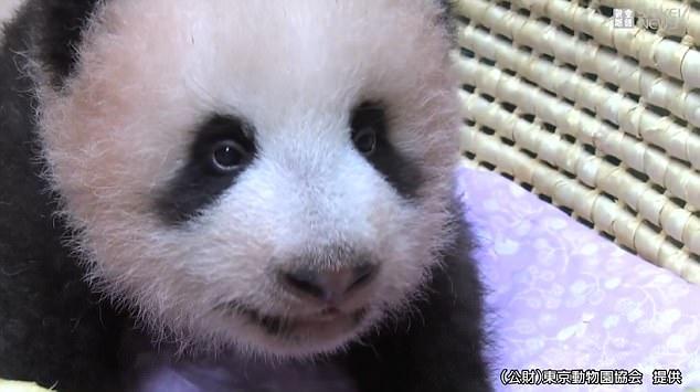 最新出生宝宝命名指南