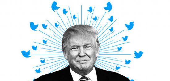 特朗普最新Twitter动态与探索自然美景之旅，内心的平和与宁静的追求