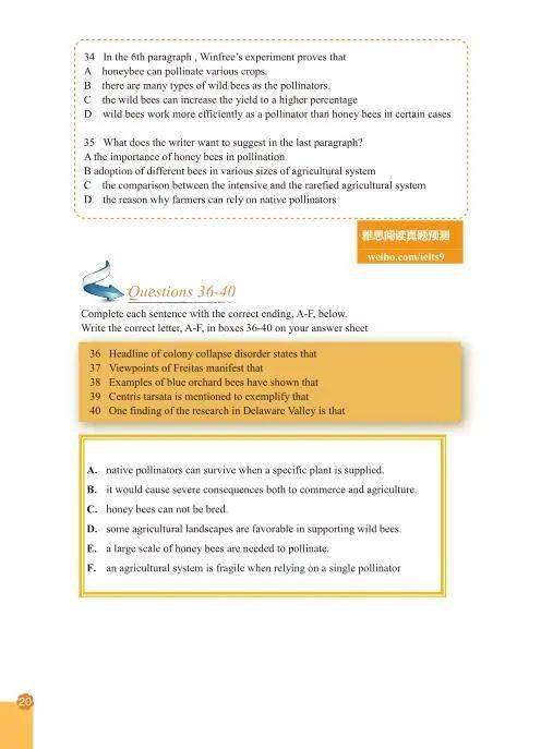 澳门大陆仔6155,目前现象解析描述_KYY29.840酷炫版