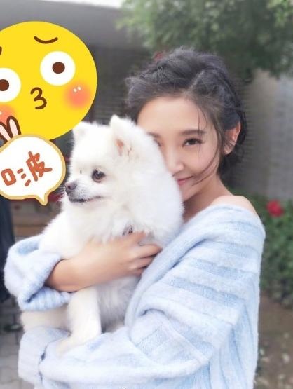 澳门六狗肖,快速解答方案实践_FDP29.973复古版