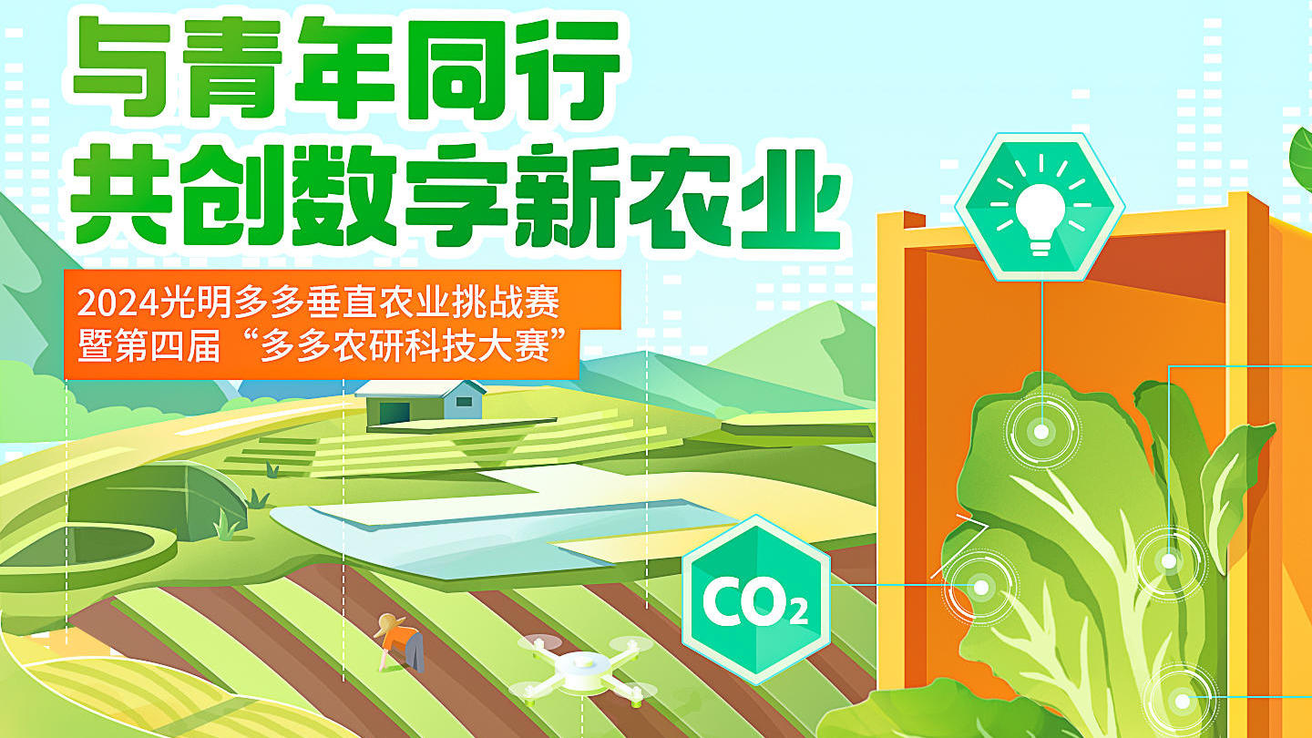 2024澳门六今晚开奖结果是多少,效率评估方案_BOQ50.142艺术版