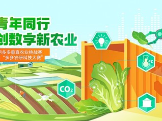 2024澳门六今晚开奖结果是多少,效率评估方案_BOQ50.142艺术版