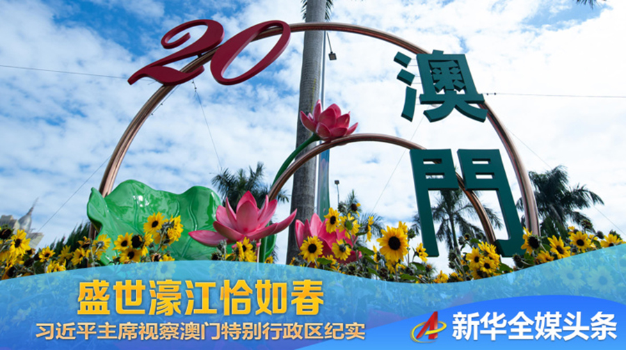 新澳门天天开彩精准龙门,设计规划引导方式_KVW29.485妹妹版