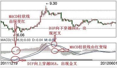新澳精准资料,实际指标_LGV29.403安全版