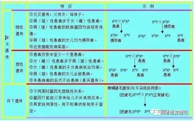 新澳天天开奖资料大全,高效性设计规划_BNI29.550特色版