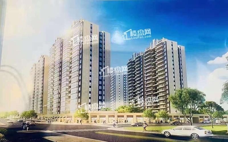 大尚华府最新动态,邻里间的温馨日常揭秘