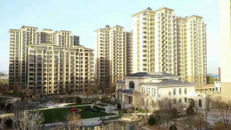 大尚华府最新动态,邻里间的温馨日常揭秘