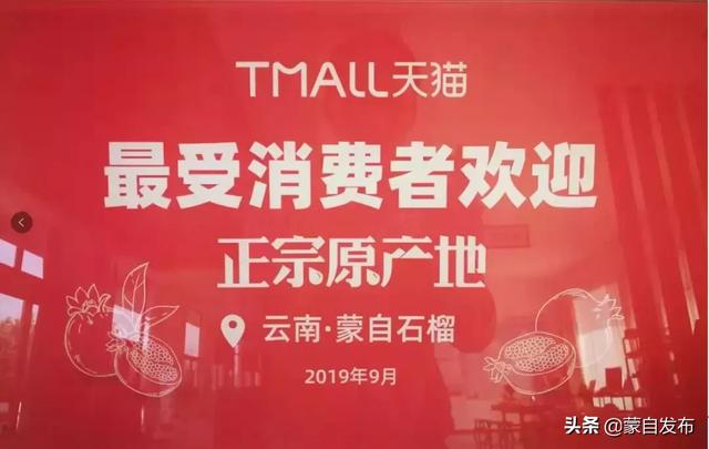 蒙自最新招聘启幕,开启学习之旅,拥抱变化,自信展现才华