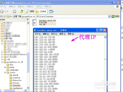 科技引领新生活,最新免费代理IP地址助你畅享网络自由