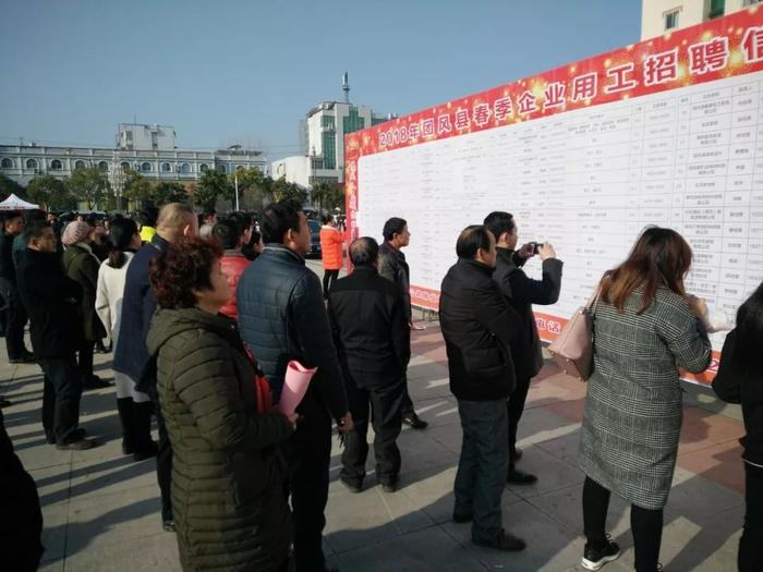 团风最新招聘,职业发展的新天地,寻找人才的新起点