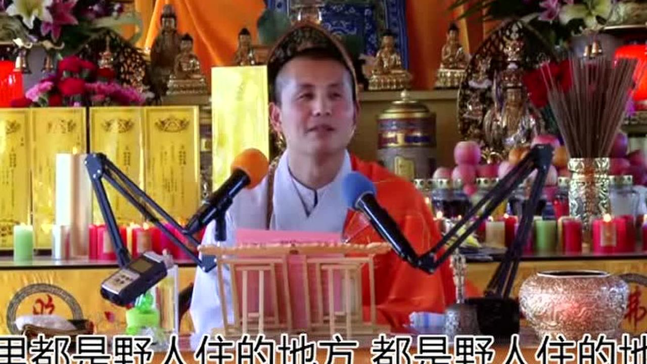 人中师父最新讲道揭秘,深度解读人生智慧与修行之道