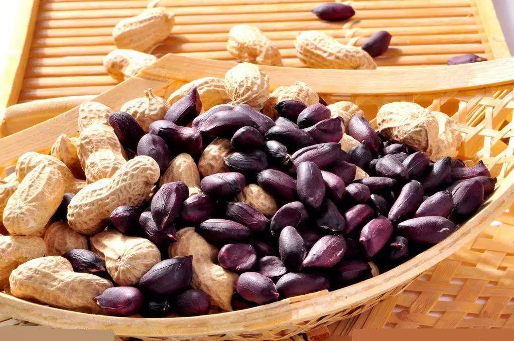 花生新品种与家的温馨故事探索