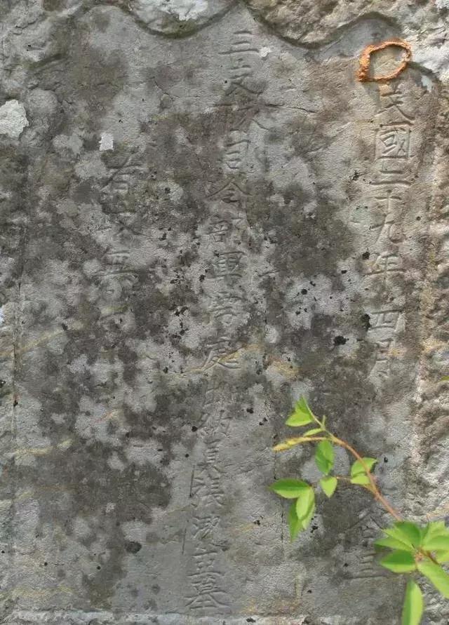 怀旧影苑最新资讯概览