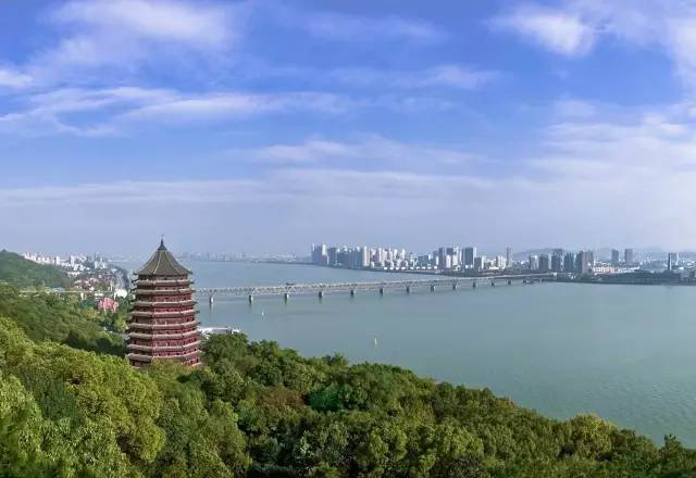 杭州巷弄深处的隐藏小店,最新景点探秘