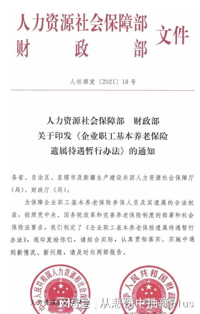 河北遗属补助政策最新动态与小城故事,新篇章揭晓