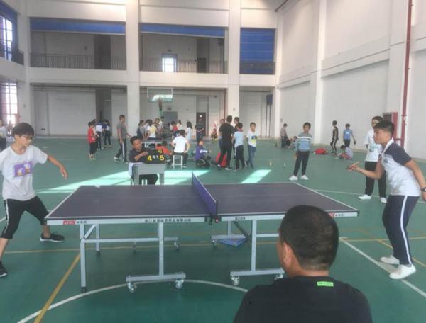 洋河新区心灵宁静之旅,最新新闻与自然美景的探索之旅