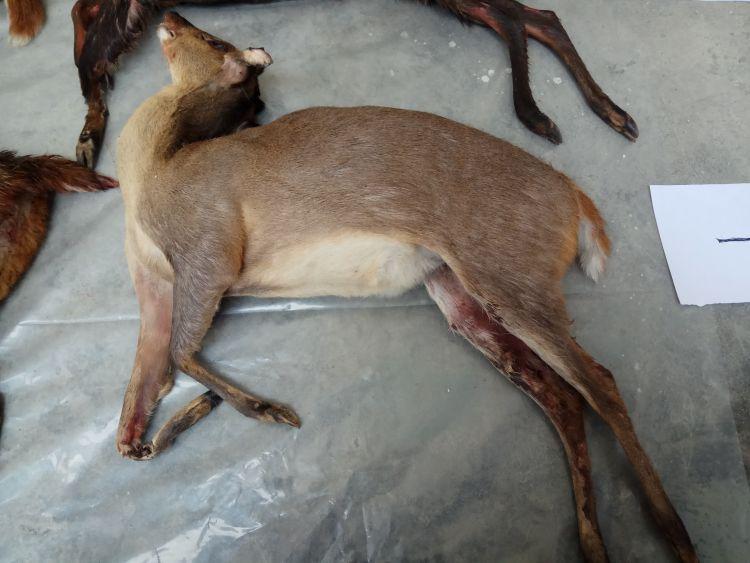 汾口最新新闻动态,小红书带你领略魅力新篇章