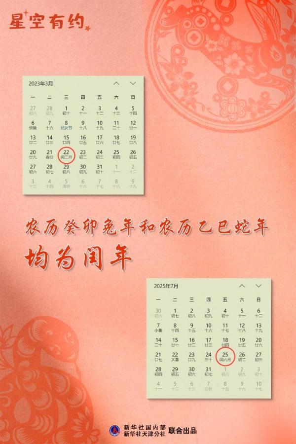 2024香港今晚开特马,数据驱动方案_REE49.384远光版