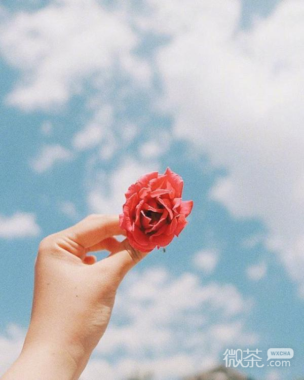 最新说说配图，展现学习变化，自信与成就的力量