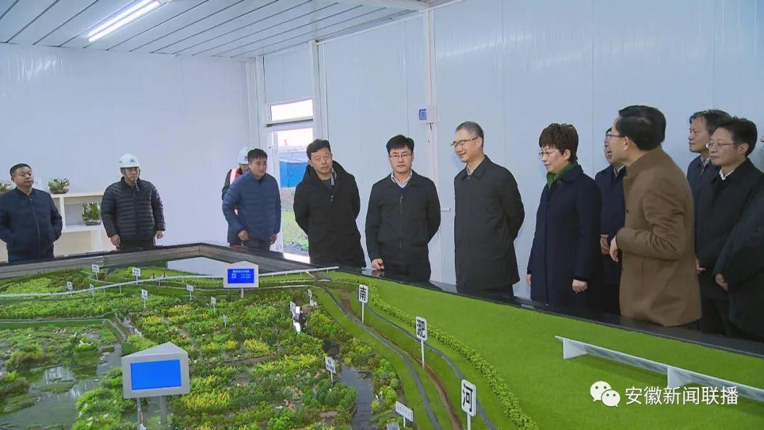 巢湖未来巷弄深处的惊喜与未来展望,最新发展动态揭秘