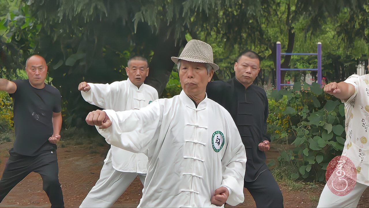 绵张拳最新视频,小巷深处的武术秘境探索