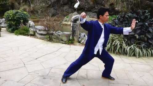 绵张拳最新视频,小巷深处的武术秘境探索