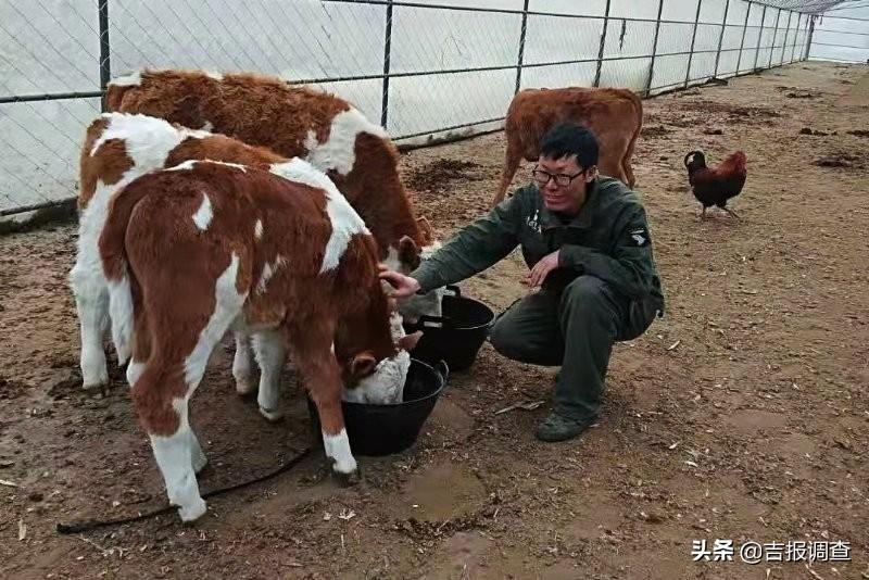 桦甸最新招聘信息,启程探索自然美景,寻找内心的宁静之旅