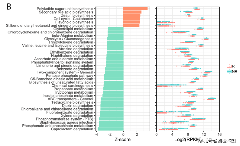 2024全年经典资料大全,高效性设计规划_POJ49.804复兴版