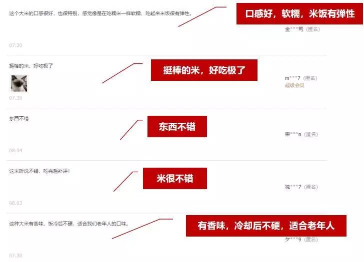 马会三肖三码精准100%,行动规划执行_BEC49.765影音版