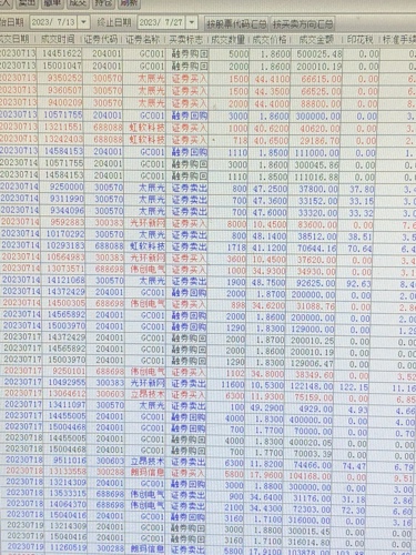25049.0cm新奥彩40063,策略规划_GVP49.305冷静版