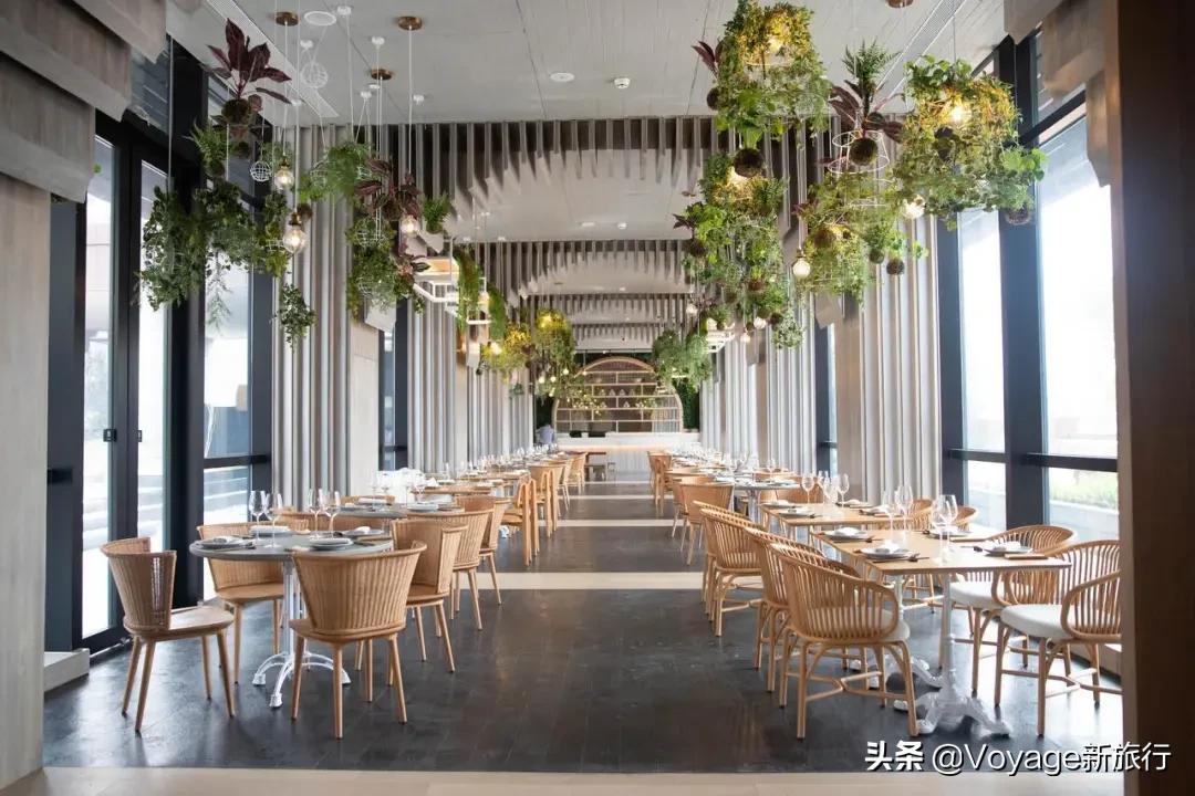 澳门精准资料水果奶奶,统计材料解释设想_QGE49.894体现版