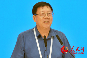 杨怀进最新状况揭秘,小巷中的隐藏美食天堂探索