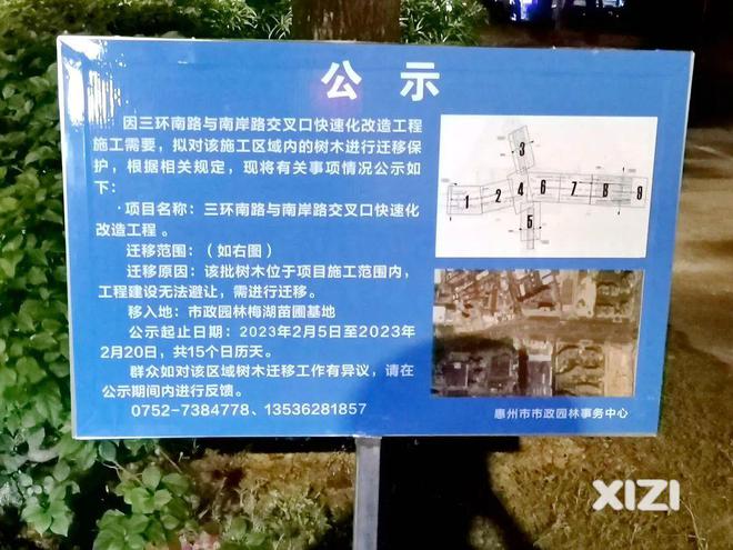 惠州限牌最新消息及观点论述全解析