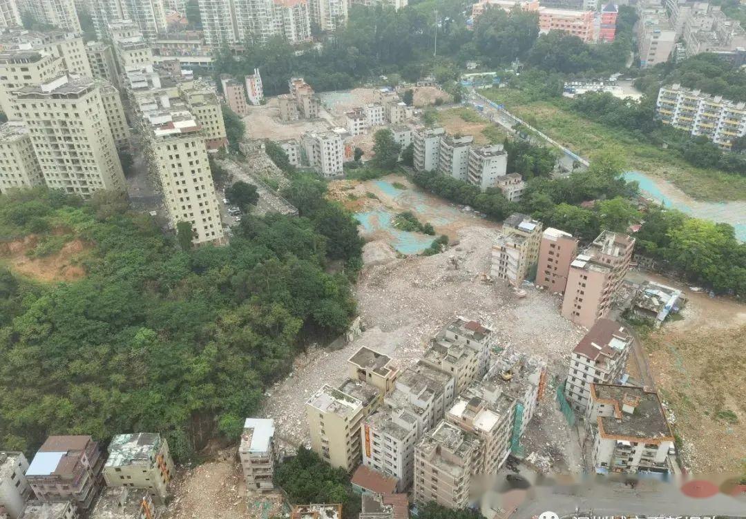 木棉湾村旧改最新进展及动态更新