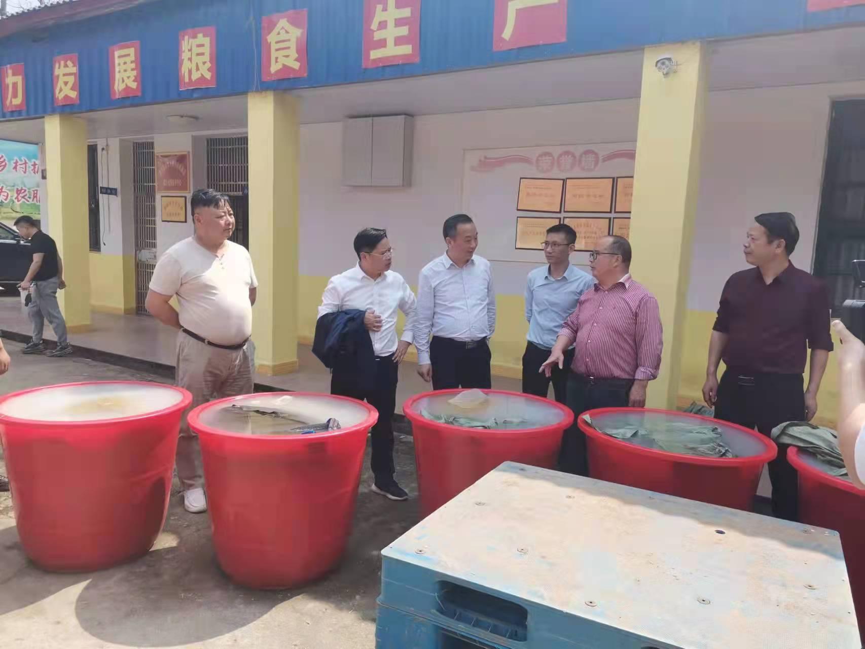 湖南祁阳白水最新科技动态,高科技产品重塑生活,体验前沿科技魅力