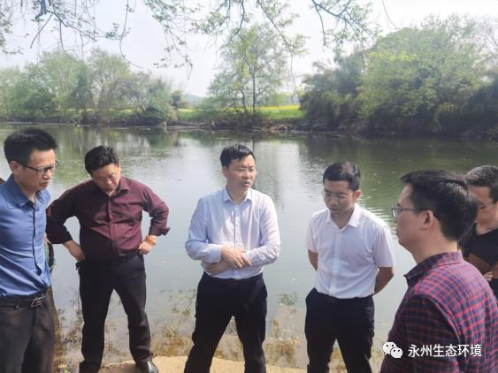 湖南祁阳白水最新科技动态,高科技产品重塑生活,体验前沿科技魅力