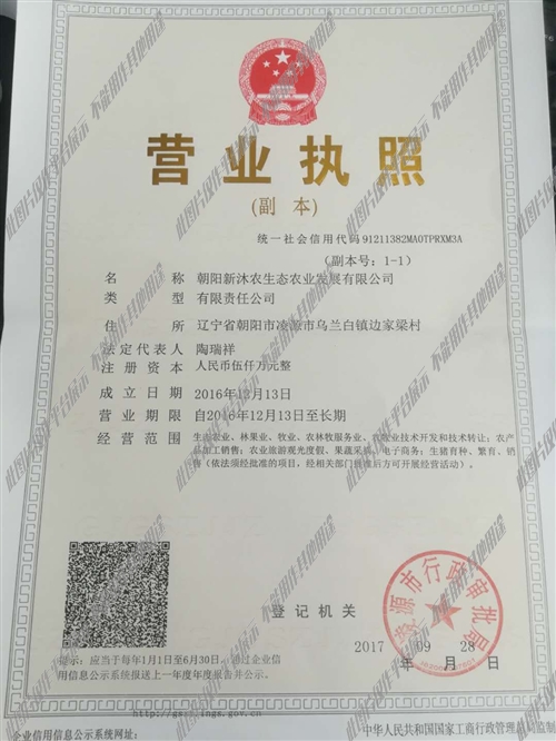 凌源市内最新招聘信息汇总✨🔍📢