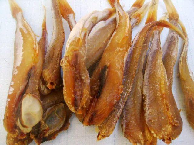 唐山白菜最新价格行情及分析