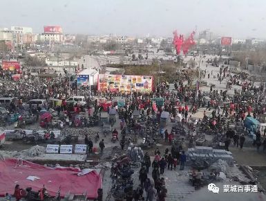 蒙城贴吧最新消息🌟实时更新速递