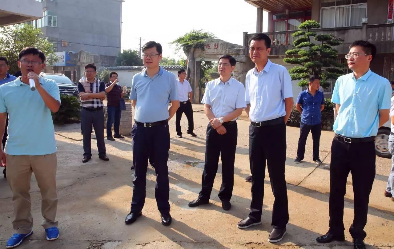 新建区松湖镇新任领导引领变革，铸就自信与成就之光之路