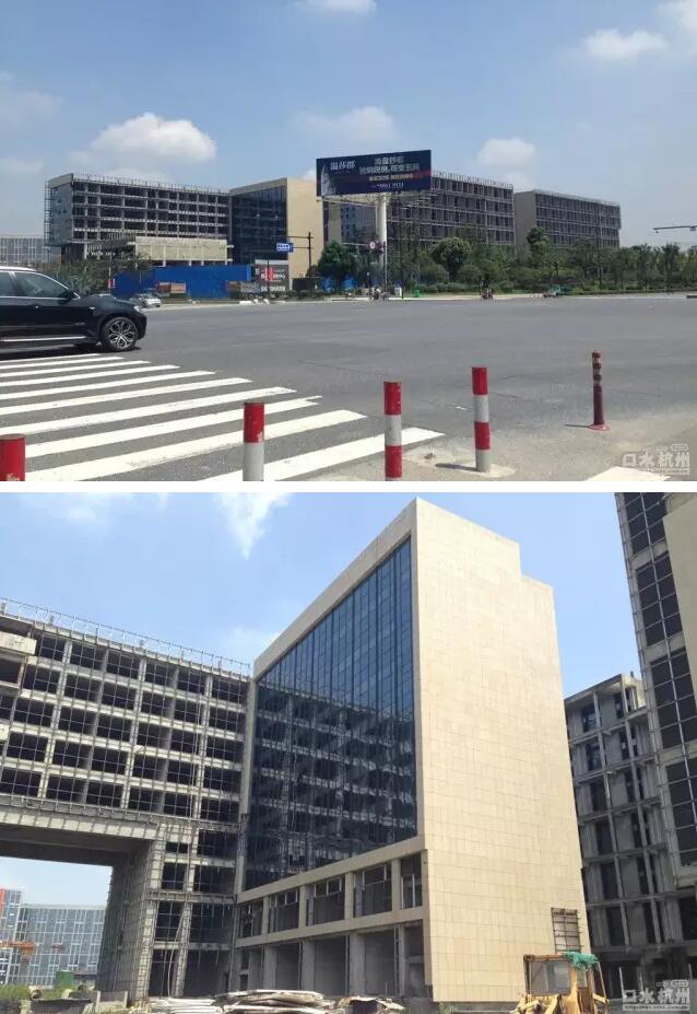 西溪MOHO最新动态,温馨日常的揭秘