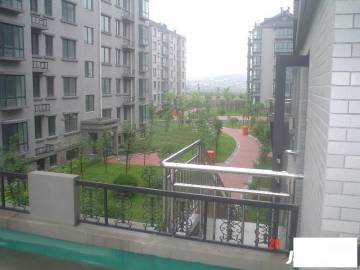 南阳书林苑最新动态,知识的海洋,成就梦想的起点