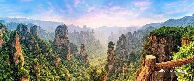 大寺奇境森林最新项目,探索自然奥秘的崭新旅程启动