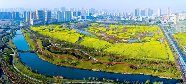 宿松秀水河畔最新动态，河畔温馨日常揭秘