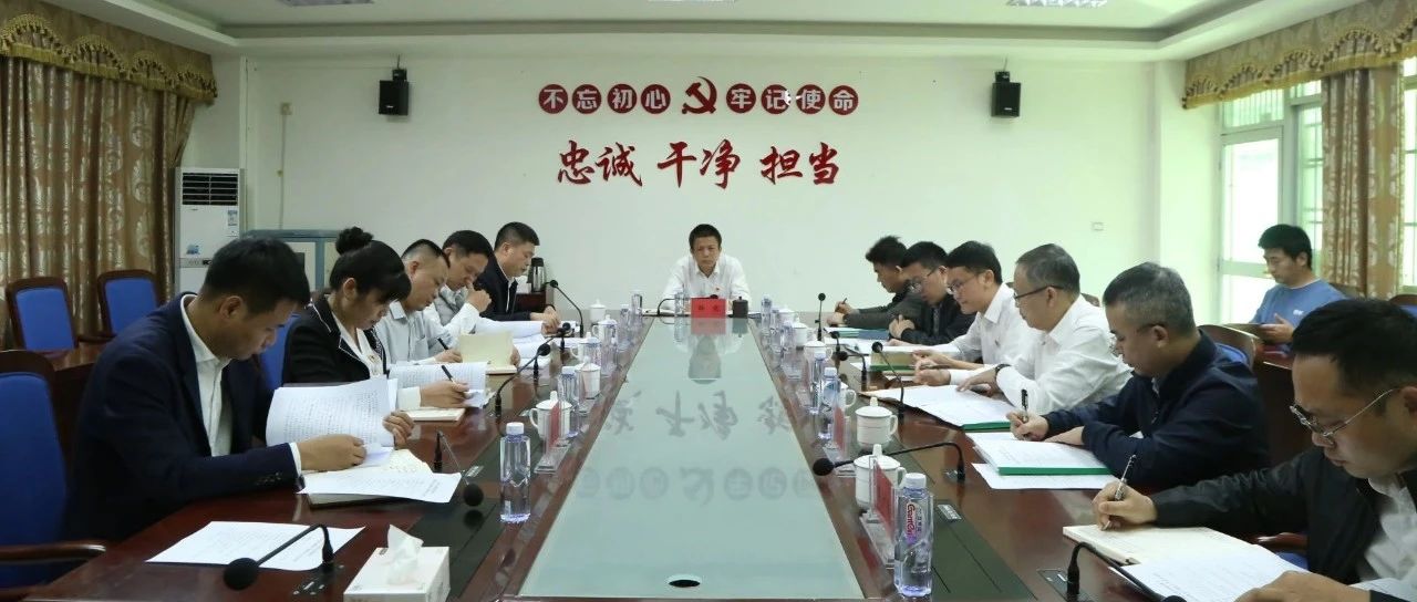 东方市最新领导班子成员一览表✨🌠