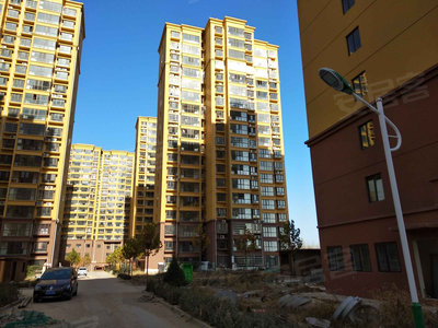 唐县东城国际,巷弄深处的隐藏瑰宝最新消息揭秘