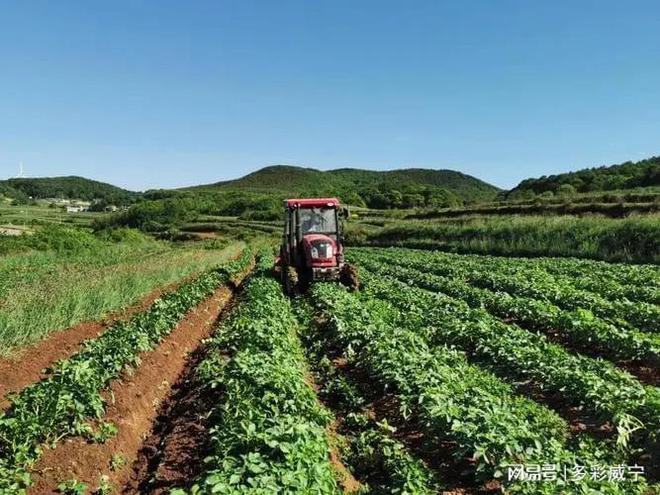 威宁养生基地的日常趣事，友情与爱共织的纽带最新消息