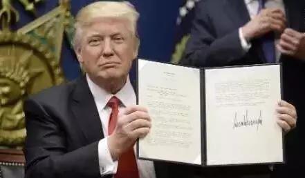 特朗普移民政策最新动态，邻里情感纽带与趣事分享